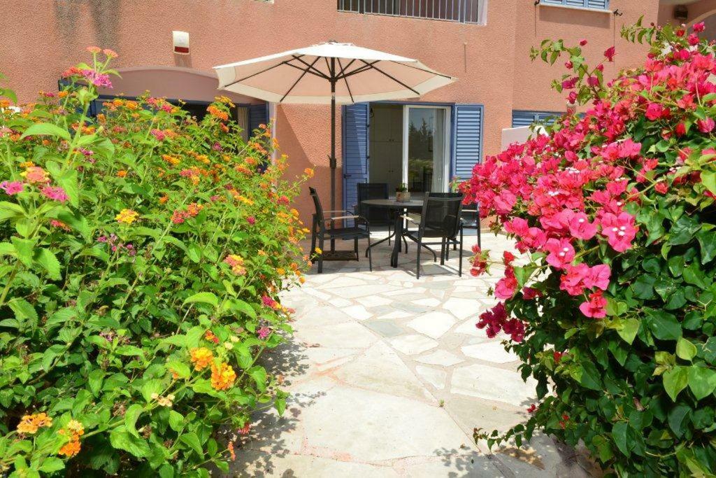 Limnaria Villas Sunny Garden Apartment Paphos Exterior photo